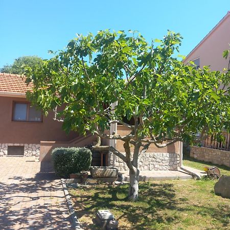 Apartmani Goga Biograd Na Moru Exterior photo