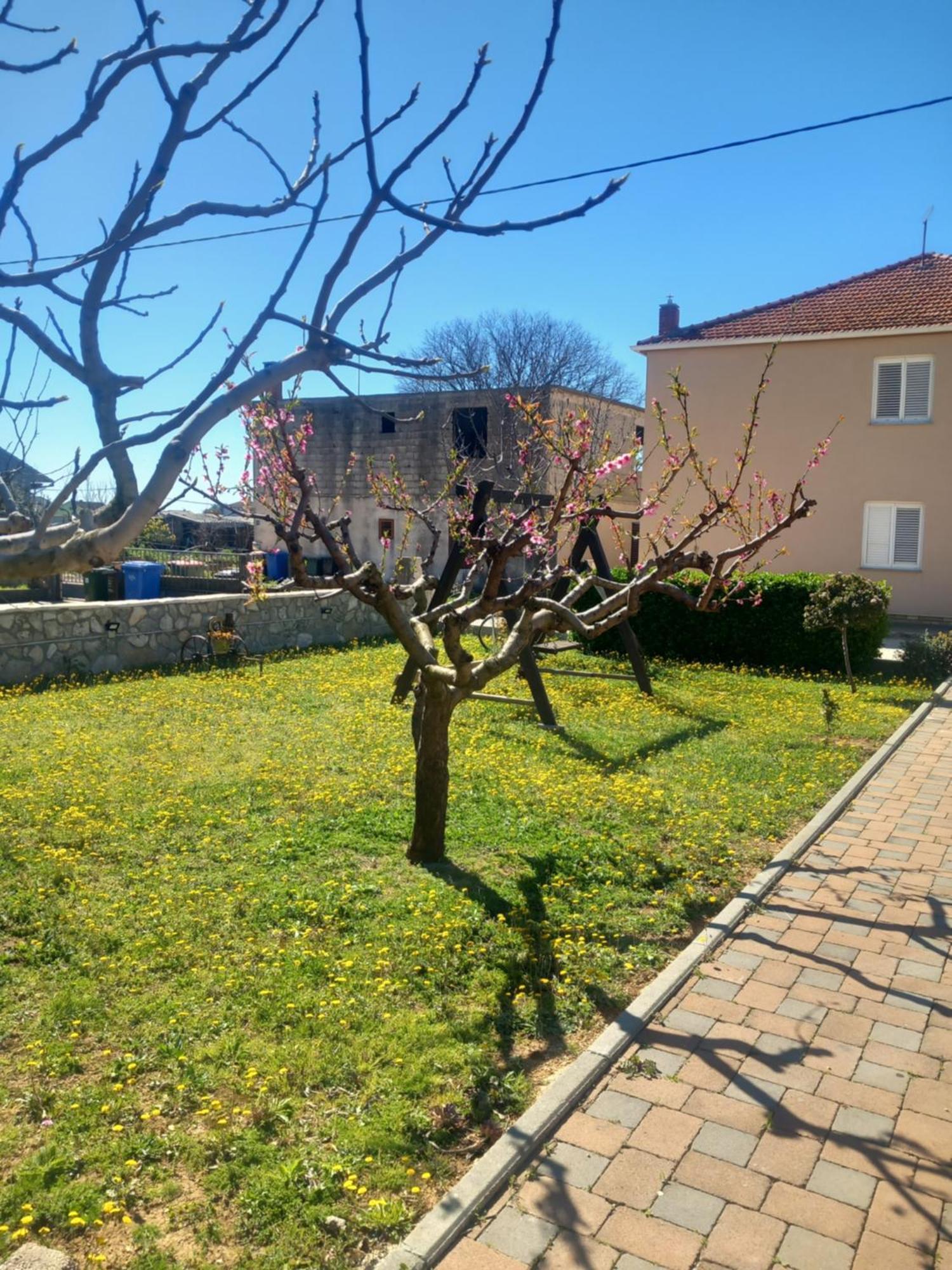 Apartmani Goga Biograd Na Moru Exterior photo